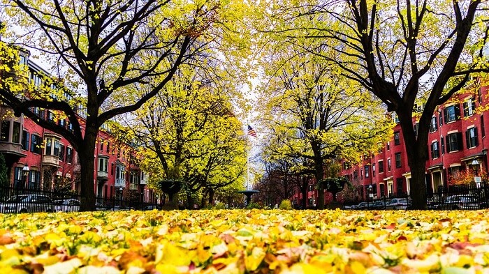 Golden leaves in Boston's historic Bay Village neighborhood